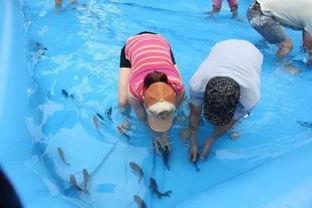 成人水池抓鱼视频大全,成人水池捕鱼视频集锦