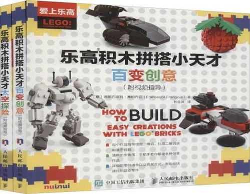 积木拼搭视频成人