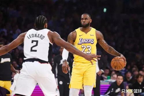 成人篮筐安装视频大全,视频大全解析，轻松掌握安装技巧