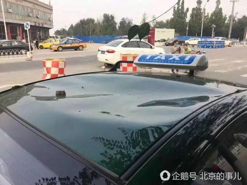 成人踩汽车车顶视频