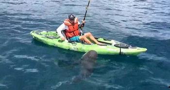 成人单人皮艇视频,单人皮艇挑战全纪录