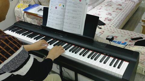 成人钢琴自学的方法视频,轻松入门，掌握钢琴演奏技巧