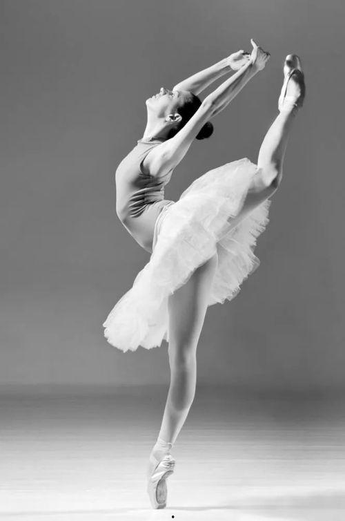 成人芭蕾变化绘画视频,成人芭蕾变化绘画视频赏析