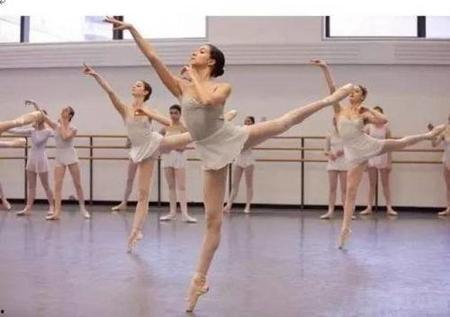 长扇舞蹈成人舞蹈视频,成人舞蹈视频中的古典美与优雅演绎