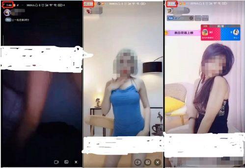 成人MMM免费视频,探索成人MMM免费视频的精彩世界