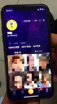 成人短视频应用,成人应用的崛起与影响